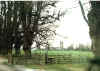 lavenham8701.jpg (39687 bytes)