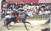 palio8614.jpg (36114 bytes)
